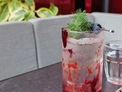 黑醋栗树莓气泡-Nord Grill&Bar Highland诺德西餐(深圳欢乐海岸店)