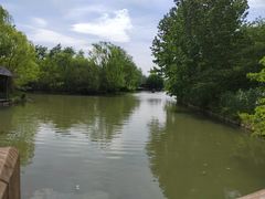 -溱湖国家湿地公园