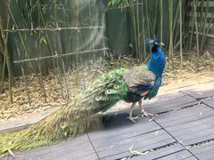 -春记潮汕牛肉火锅