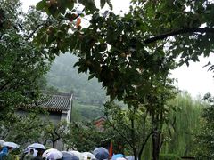 -华清宫-观风楼