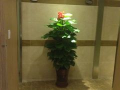 -富侨养生(康乾店)