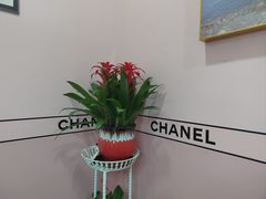 -杠上开花自助棋牌室