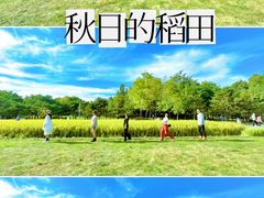 -北坞公园