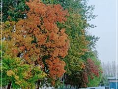 -京北车辆管理所-停车场