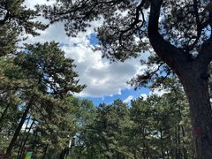 -承德避暑山庄景区