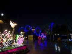 -济南方特东方神画