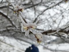 -溪口商量岗景区