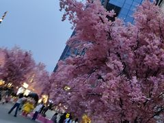 -首开·龙湖成都西宸天街