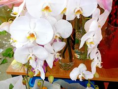 -宏状元现熬粥·京味菜(黄寺大街店)