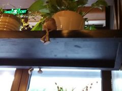 -谷田稻香·砂锅菜(汇暻广场店)