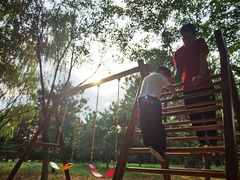 -大兴滨河森林公园