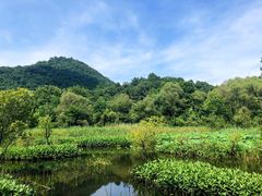 -西湖风景区-江洋畈生态公园