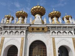 -上海东林寺(金山区)