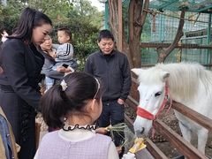 -杭州开元森泊度假乐园