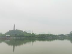 -顺峰山公园
