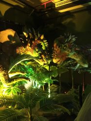 -恐龙探索乐园(磁器口店)