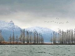 -东湖落雁景区