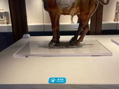 -旅顺博物馆