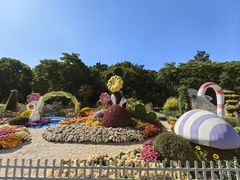 -上海共青森林公园