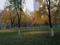 -西北湖绿化广场