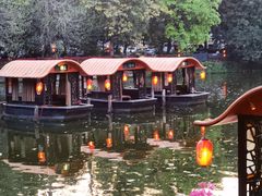 -侨美·唐荔园·40年地道粤菜