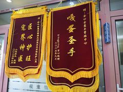-全心全意连锁动物医院·微创中心·内科急重症·心脏专科(丰管路店)