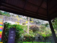 -汇雅温泉