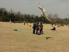 android_upload_pic-泰丰公园