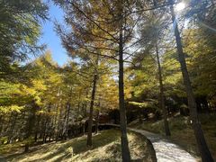 -苏木山森林公园