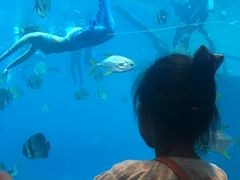 -瑞德姆美人鱼海底演艺主题餐厅(亚龙湾店)