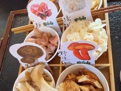 -菌自由丨野生菌火锅特色庭院餐厅(丽江古城店)