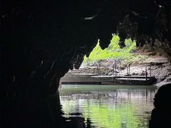 -怀托摩萤火虫洞