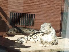 -青藏高原野生动物园
