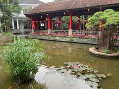 -河内西湖莲花自助餐厅