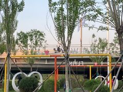 -长白岛森林公园