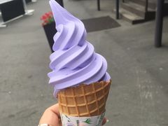 -富田农场