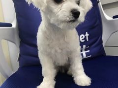 -宠颐生动物医院·心脏科·保险定点(锦阳分院)