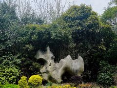 -上海吴淞炮台湾国家湿地公园