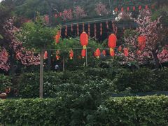 -枇杷园食为鲜火锅(南山店)