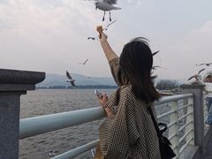 -滇池海埂公园