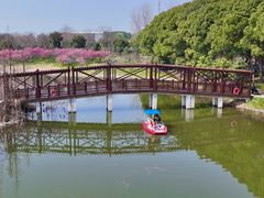 -同里国家湿地公园