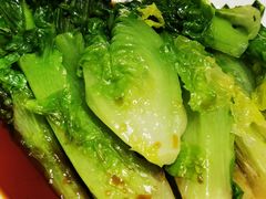 罗马生菜-西贝(枫蓝国际购物中心店)
