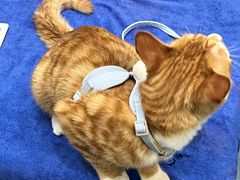 -佑安动物医院·全科·内窥镜中心(幸福巷店)