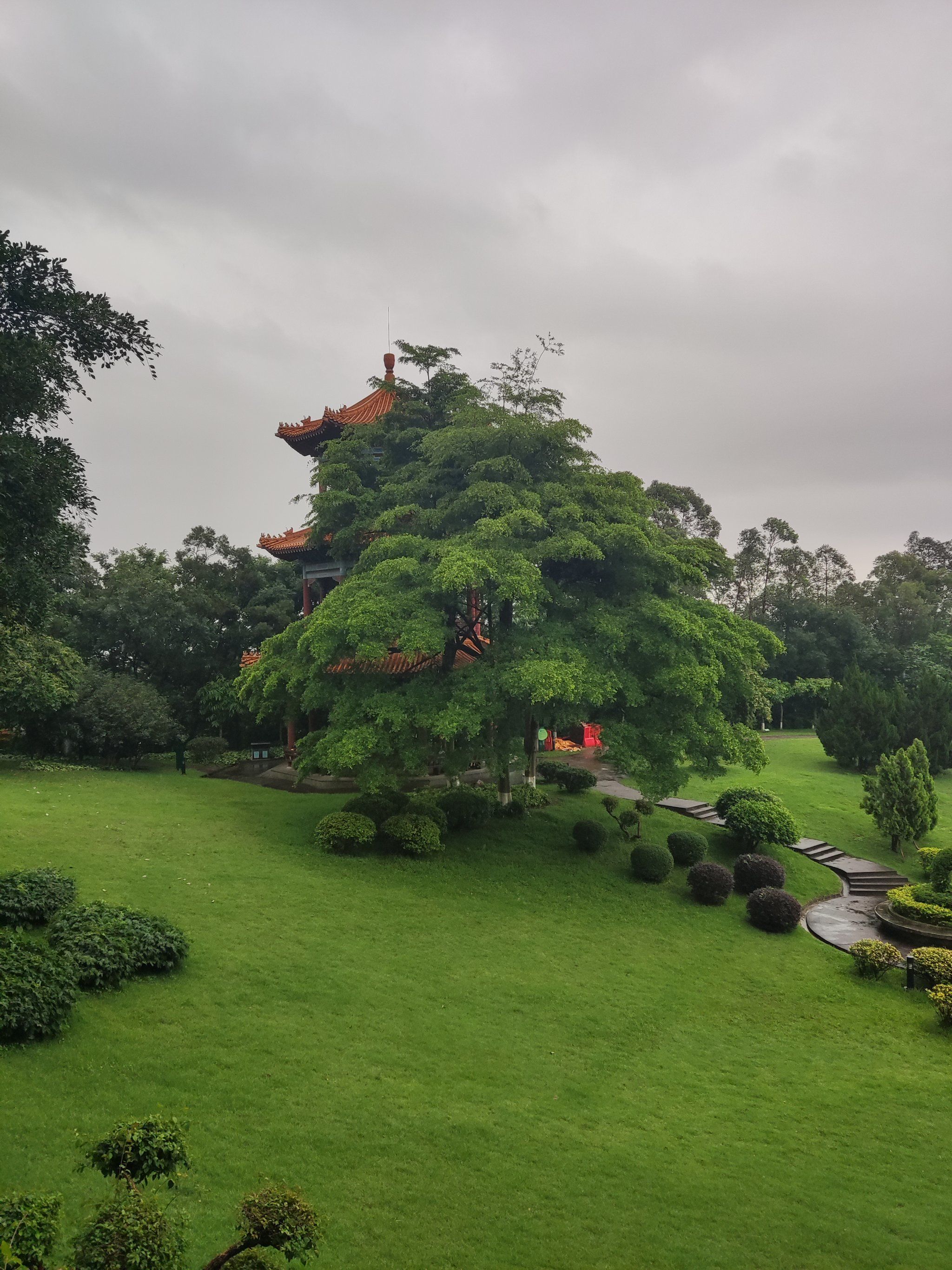 雨后的莲花山7215格外清新自然~绿意葱茏,巴适得很