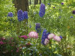 -上海共青森林公园