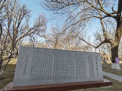 -桃花堤公园