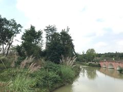 -白鹭湾湿地公园