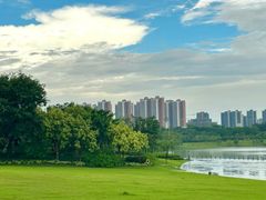-九龙湖公园
