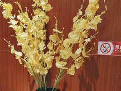 -金枝玉叶上海人家食府(三里河店)