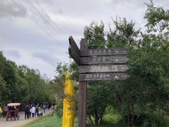 -上海海湾国家森林公园